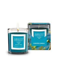 Ароматическая свеча Areon, HOME PERFUMES,120гр Under the Mystic Tree