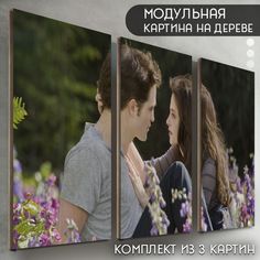 Модульная картина на дереве Бруталити Фильм Сумерки - 6592