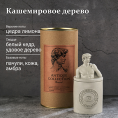 Ароматическая свеча TAKO Home Давид кашемировое дерево, соевый воск, 180 мл