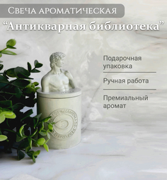 Ароматическая свеча TAKO Home Давид антикварная библиотека, соевый воск, 180 мл