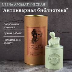 Ароматическая свеча TAKO Home Венера антикварная библиотека, соевый воск, 180 мл