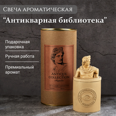 Ароматическая свеча TAKO Home Аполлон антикварная библиотека, соевый воск, 180 мл