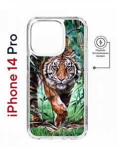 Чехол на iPhone 14 Pro MagSafe Kruche Print Крадущийся тигр противоударный с магнитом КruЧЕ