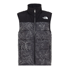 Жилет стёганный TEEN NS SYNTH VEST PT ASPHALT GREY BO The North Face