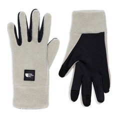 Перчатки FLEESKI ETIP GLOVE Clay Grey The North Face