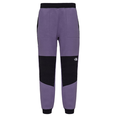 Мужские брюки Denali Pant The North Face