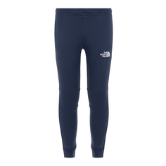 Подростковые брюки Teen Slim Fit Joggers The North Face