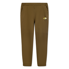 Мужские брюки Coordinates Pants The North Face
