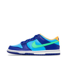 Подростковые кроссовки Nike Dunk Low All Star