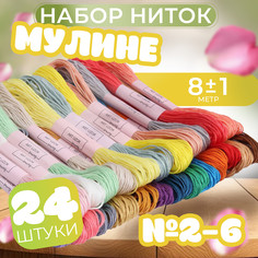 Набор ниток мулине, №2 - №6, 8 ± 1 м, 24 шт Арт Узор