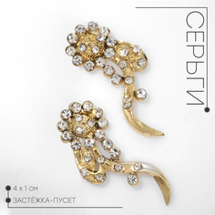 Серьги со стразами Queen Fair