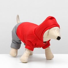Комбинезон зимний для животных No Brand