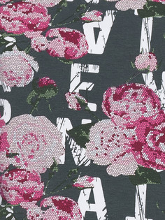 Толстовка Pelican