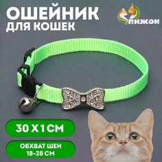Ошейник кошачий Пижон