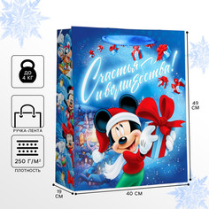 Пакет новогодний ламинированный Disney