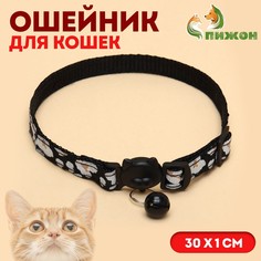 Ошейник кошачий Пижон