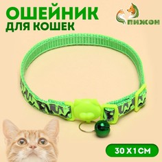 Ошейник кошачий пижон