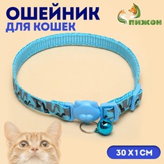 Ошейник кошачий пижон