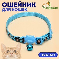Ошейник кошачий Пижон