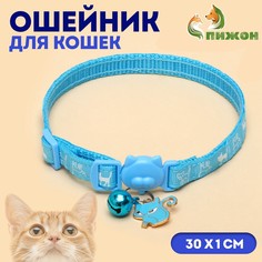 Ошейник кошачий Пижон