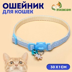 Ошейник кошачий Пижон