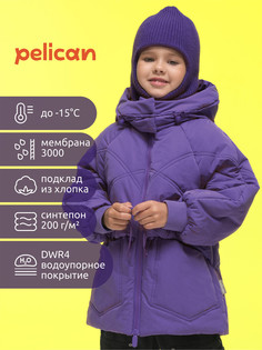 Куртка Pelican