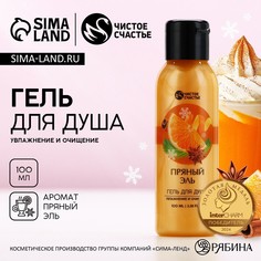 Гель для душа чистое счастье, 100 мл, аромат пряный эль, новый год