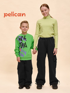 Брюки Pelican