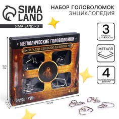 Головоломка металлическая Puzzle