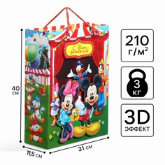Пакет подарочный 3д Disney