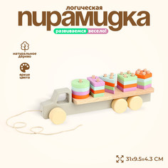 Пирамидка логическая No Brand