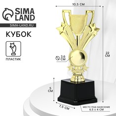 Наградная фигура кубок, золото, подставка пластик, 22 х 10,5 х 7,5 см Командор