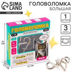 Головоломка металлическая Puzzle