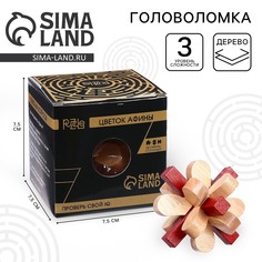 Головоломка деревянная игры разума Puzzle