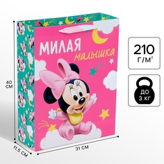 Пакет подарочный Disney