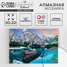 Алмазная мозаика с полным заполнением на холсте Школа талантов