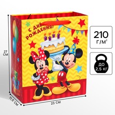 Пакет подарочный Disney