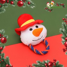 Игрушка мягкая для собак Пижон