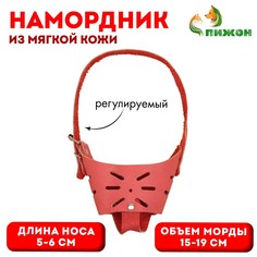 Намордник регулируемый из мягкой кожи, размер № 2, дн 5-6 см, ом 15-19 см, коричневый Пижон