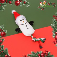 Игрушка мягкая для собак Пижон