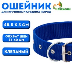 Ошейник клепаный, 48,5 х 3 см, ош 31-40 см, полиэстер, синий Пижон