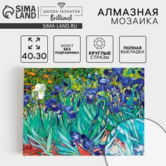 Алмазная мозаика с полным заполнением на холсте Школа талантов