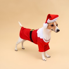 Толстовка для собак с колпаком santa, xxl (дс 45, ог 55 см) No Brand