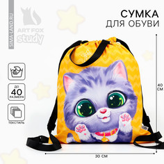 Мешок для обуви Art Fox Study