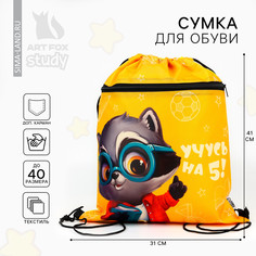 Мешок для обуви Art Fox Study