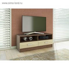 Тумба тв-1 1200х382х462, цвет ясень шимо светлый / ясень шимо темный No Brand