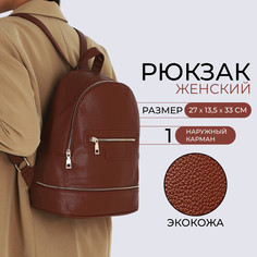 Рюкзак женский из искусственной кожи на молнии, 1 карман, цвет коричневый No Brand