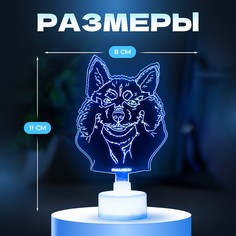 Светильник Risalux