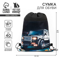 Мешок для обуви Art Fox Study