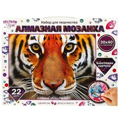 Набор для творчества (аппликация/мозаика) МУЛЬТИ АРТ AM30x40-MULTI33